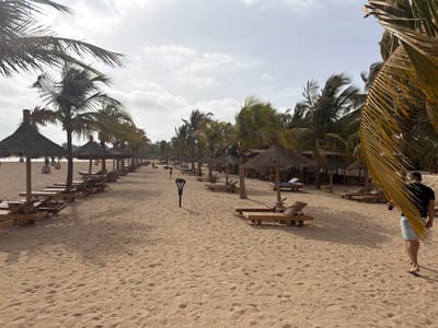 The image displays a wide, sandy beach in Saly Portudal, Senegal, lined with rows of palm trees and beach amenities under a partly cloudy sky. Numerous wooden beach loungers are neatly arranged beneath traditional straw umbrellas (palapas) on both sides of a central sandy pathway, stretching into the distance.
On the far right of the frame, a man with dark hair, wearing a black t-shirt and light shorts, walks away from the camera. He is partially obscured by a large, yellowish-green palm frond in the foreground. A modern, dark-colored path light stands upright in the sand between the two lines of loungers.
The sky is bright with a mix of white and light grey clouds, suggesting daytime, possibly late morning or early afternoon. The palm fronds appear to be swaying slightly, indicating a gentle breeze. The sand is light brown, showing various textures and footprints. The scene evokes a tranquil, relaxing atmosphere typical of a coastal resort. No visible text is present in the image.