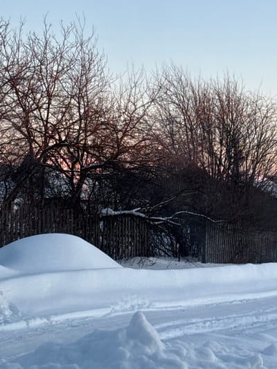 This image portrays a winter scene in Bilimbay, Russia. The sky above is clear, transitioning from a light blue overhead to a pale pink and orange hue near the horizon, indicative of either dawn or dusk. The ground is uniformly covered in snow.

In the foreground, a snow-covered path or road is visible, displaying multiple sets of parallel tracks consistent with vehicle tires or a sled. A small, conical snowdrift rises prominently in the lower center. To the left of the path, a substantial, rounded snowdrift forms a smooth, high mound, potentially obscuring an object beneath.

Behind this snow accumulation, a weathered wooden fence, constructed from vertical planks or pickets, stretches horizontally across the midground. Behind and above the fence, numerous bare deciduous trees, stripped of their leaves, present a dense network of dark, intricate branches silhouetted against the sky. One snow-dusted tree branch extends horizontally, appearing to rest on or be entangled with the fence from the left. No individuals are present, and no active interactions are depicted.