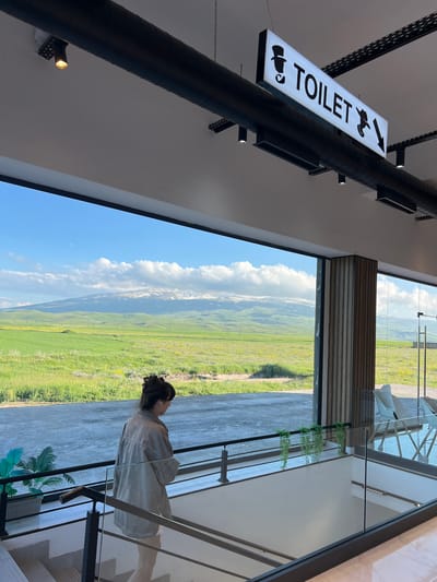 A young woman stands on a modern, multi-level interior staircase, looking out through a large window at a scenic, green landscape. The woman has her hair pulled back in a bun and is wearing a light-colored jacket. She is on a lower level of the staircase, with glass railings and metal support beams visible. Inside, the space appears to be a contemporary building, with a white ceiling and a large black pipe running overhead. A lit sign, hanging from the pipe, reads "TOILET" with an arrow pointing to the right and stylized silhouettes of a man and a woman.
Through the expansive window, a vast, rolling green field stretches towards a distant mountain range, partially covered in snow. The sky is a bright blue with scattered white clouds, suggesting a clear, sunny day. The time of day appears to be daytime, likely late morning or afternoon, given the brightness and the shadows.
The overall scene evokes a sense of modern design integrated with natural beauty, perhaps a rest stop or visitor center along a scenic route. The woman's posture suggests contemplation or admiration of the view. The location context of Alagyaz, Armenia, further grounds the image in a specific geographical setting known for its natural landscapes.