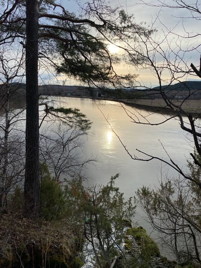 The photograph shows a body of water reflecting sunlight, framed by tree branches and foliage. The horizon line indicates land on the opposite side of the water. Details related to the specific location within Pepelyshi, Russia, are not directly visible.