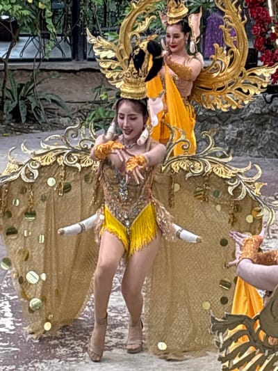 The image shows two individuals dressed in elaborate, golden costumes, possibly for a performance or celebration. The primary subject is a person in the foreground, facing forward and smiling, with their head tilted slightly to the left. They are adorned in a detailed costume featuring a golden, ornate headdress, a shimmering gold and yellow top with beaded embellishments, and a short, fringed yellow skirt. Golden arm cuffs and beaded jewelry are also visible. Two white cylindrical objects are held horizontally in front of them. Their legs are adorned with subtle jewelry around the ankles, and they wear light-colored sandals.
Behind this person, another individual is visible, lying down and looking upwards. They are wearing a gold and yellow garment, and their arms are adorned with gold cuffs. Both subjects are positioned within a larger, ornate gold structure that resembles wings or a decorative backdrop, adorned with swirling patterns and circular gold accents. The background appears to be a mix of natural elements, with greenery and plants visible on the left, and a textured, possibly stone or rock wall on the right. Red flowers are also present in the upper left corner. The lighting suggests an indoor setting or possibly a shaded outdoor area. The overall impression is one of a vibrant, theatrical performance or festival, likely in Nong Prue, Thailand, given the provided location context. The atmosphere conveyed is joyful and festive, with the subjects appearing engaged and enthusiastic. No visible text is present in the image.