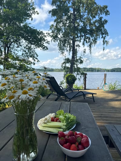 This media file captures a tranquil scene at Priedesmuiža, Latvia, likely during a summer day. The focus is on a wooden table set for a refreshing outdoor meal. In the foreground, a clear glass vase overflows with a bouquet of white daisies, their yellow centers bright against the backdrop. To the right, a white bowl is filled with ripe strawberries, and a plate of fresh vegetables includes lettuce, cucumber slices, cauliflower florets, and cherry tomatoes.

Beyond the table, the view opens up to a serene body of water, likely a lake or river, reflecting the blue sky dotted with fluffy white clouds. A wooden deck with lounge chairs is visible, suggesting a relaxing lakeside setting. The lush green trees surrounding the area add to the natural beauty of the location.

The image evokes a sense of peace and leisure, with the fresh produce and natural scenery hinting at an enjoyable outdoor gathering or a moment of quiet contemplation. The lighting suggests it is daytime, possibly late afternoon, given the warm tones on the wooden surfaces. There is no visible text in the media file.