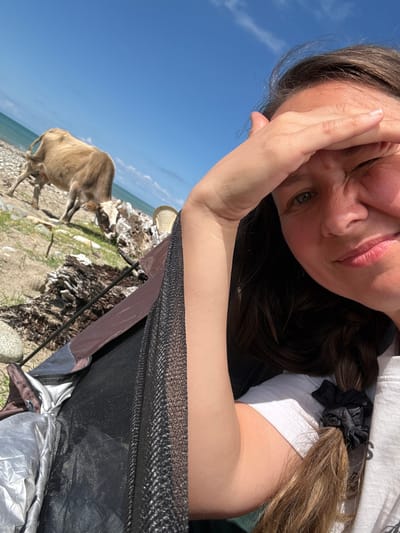 A woman is taking a selfie in Mgudzyrkhwa, Abkhazia, near the Black Sea. She is shielding her eyes from the sun with her hand. In the background, two cows are grazing on a rocky beach. The sea and a clear blue sky are visible. A partially set-up tent is in the foreground.