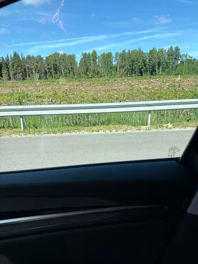 The image captures a view from a vehicle traveling along a road in Medemciems, Latvia. The scene is dominated by a dense forest lining the left side of the road, with a cleared area showing patches of dry grass and some vegetation. A silver guardrail separates the forest from the paved road. The sky is blue with some wispy white clouds, suggesting it is daytime. The sun appears to be shining brightly, casting light on the landscape.
Reflections are visible on the glass of the vehicle, obscuring parts of the forest and sky, and showing a pinkish hue. The interior of the vehicle is visible on the right side of the image, appearing as dark, glossy surfaces, likely the car's interior trim and window frame.
The image seems to be taken during pleasant weather conditions. There are no people or animals visible in the frame. The overall impression is a snapshot of a journey through a rural, forested area.
On the vehicle's window, some text is faintly visible, appearing to be a mix of Latin and Cyrillic characters, possibly indicating vehicle registration or manufacturing details. Specifically, the words "AM VCV", "EC" and "E4" are partially discernible.