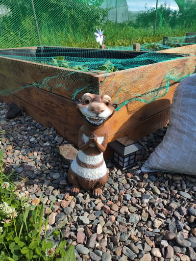 A garden decoration of a cartoonish brown and white striped animal is placed on a bed of multicolored pebbles in front of a wooden planter box covered with green netting. The planter box contains some greenery. To the right of the decoration is a small black solar-powered garden light. Behind the planter box is a large, light-colored woven bag. The environment appears to be outdoors with grass and other vegetation visible in the background. The sky is visible at the top of the image.