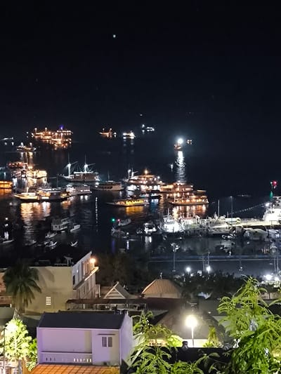 The image is a nighttime aerial view of a harbor in Labuan Bajo, Indonesia, filled with numerous boats of various sizes docked and at anchor. The water reflects the lights from the boats and buildings, creating a shimmering effect. In the foreground, there are buildings with illuminated windows and rooftop lights, including a structure with a prominent white façade and a dark tiled roof. A palm tree is visible to the left of these buildings. Further into the scene, the harbor teems with boats, many of which are adorned with decorative lights. Some larger vessels appear to be passenger boats or ferries, while smaller boats are also present. The overall atmosphere is one of a lively port city at night, with a clear dark sky above.