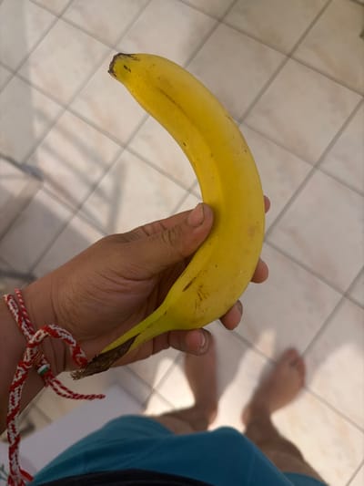 A single yellow banana is observed held in a person's right hand, positioned above a tiled floor. The stated location for this scene is Lochristi, Belgium.

**Subjects:**
*   **Person (Partial):** The image captures an individual from a high-angle perspective, showing their right hand, lower torso, and bare feet. The right hand exhibits a medium skin tone, with short fingernails, and is adorned with a woven red and white bracelet that includes a small green bead. The individual wears turquoise-blue shorts. Two bare feet are visible and out of focus on the tiled floor in the lower background.
*   **Banana:** A single, ripe, yellow banana is the central object. It displays a natural curve, with a dark brown, dried stem end and a slightly discolored tip. Minor brown specks and superficial abrasions are visible on the peel.

**Actions and Interactions:**
*   The person's right hand grasps the banana firmly, holding it in an upright, slightly angled position.

**Environment:**
*   **Surface:** The ground surface is composed of light-colored, square ceramic tiles with discernible light grout lines, forming a grid pattern.
*   **Lighting:** The scene is illuminated by an overhead light source, casting distinct shadows on the tiled floor, including a shadow beneath the banana and the individual's feet.
*   **Background:** The background is otherwise indistinct, primarily showing the tiled floor extending away from the subjects. No other objects or architectural features are clearly identifiable.
