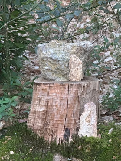 This image captures a close-up view of natural elements in a woodland setting, likely in Gometz-le-Châtel, France. The primary subjects are a weathered wooden log, several rocks, and dense moss and foliage.
A sturdy, light brown wooden log or tree stump lies horizontally, showing distinct wood grain and a rough, aged texture. On the left end of this log, two rocks are stacked. The bottom rock is large, irregularly shaped, and light grey with a rough, mottled surface. Perched on top of this large rock and resting against the log is a smaller, flatter, off-white rock.
The right side of the wooden log is heavily covered with vibrant green moss, which extends down towards the unseen ground. Next to the moss, a light-colored, irregular growth, possibly a type of fungus or a piece of decaying bark, adheres to the log's surface.
The background is softly blurred, revealing an abundance of green foliage, including thorny-looking branches and leaves that appear to be from holly or a similar plant. The lighting is natural and diffused, suggesting daytime, possibly under a tree canopy or on an overcast day. There are no people, explicit events, or discernible text visible in the image. The arrangement of the rocks on the log creates a small, informal cairn-like structure within the natural environment.