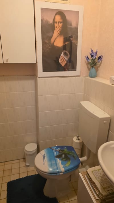 The image depicts a bathroom in Crailsheim, Germany. The primary subjects are a framed print of the Mona Lisa holding a roll of toilet paper, a toilet with a tropical beach scene on its lid, and a sink. There is also a light blue vase with lavender flowers, a white cabinet, and a blue rug. The scene is illuminated by artificial lighting.
The image appears to be a still shot of a bathroom interior, with no specific activity taking place. Notable details include the humorous modification of the Mona Lisa artwork and the decorative toilet seat, suggesting a playful and personal touch to the bathroom decor. The overall impression is that of a functional but personalized living space. The image shows no visible text.