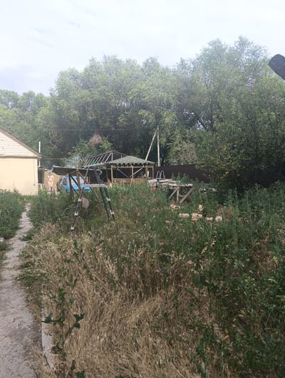 The image depicts a backyard scene in Rassvet, Kazakhstan, characterized by overgrown vegetation. A light-colored house with a beige exterior and white trim is partially visible on the left. In front of the house, a person is standing near a blue vehicle. Several outdoor structures are present, including a green-roofed gazebo with lattice sides and a separate canopy structure supported by a frame. A swing set with a metal frame and a single seat is positioned in the foreground, partially obscured by tall, dry grass and green foliage. A dirt path runs along the left side of the frame, bordered by the grass. The background is dominated by dense green trees and a brown fence. The sky is overcast with a pale, hazy appearance.