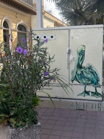 This vertical street scene, originally captured at a 90-degree counter-clockwise rotation, depicts a cream-colored utility box adorned with a vibrant mural, positioned alongside a building and a sidewalk. The central feature is the utility box, which displays a stylized drawing of a creature, possibly a bird or marine animal, rendered in shades of green and blue with webbed feet and a prominent head resembling a beak. Below this artwork, partially obscured by plants, fragments of text are visible: "anus-Occidentalis" and "ifornicus," strongly suggesting the scientific name *Pelecanus occidentalis californicus*, or California Brown Pelican.
In front of the utility box and extending into the foreground, a lush green bush with numerous striking purple flowers, likely Mexican Petunias (*Ruellia simplex*), adds a splash of color. To the upper left, a section of a palm tree with spiky fronds is visible. On the left side of the image, a warm yellow building with ornate arched windows, decorative grilles, and intricate architectural detailing serves as the backdrop. A white horizontal railing or structure is also present. To the right of the utility box, a reddish-brown tiled sidewalk and a concrete curb, bearing faded graffiti that includes partial letters like "RNII," complete the setting.
The scene is illuminated by bright daylight, suggesting clear and sunny weather. No people are visible, and no specific event is taking place, portraying a static, tranquil street view. The combination of local flora, distinct architecture, and the mural referencing a regional species aligns with the provided location context of Mazatlán, Mexico.