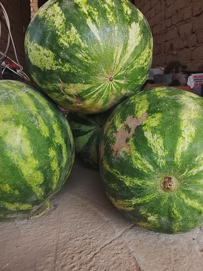 A close-up, low-angle shot shows a pile of four watermelons on a textured, light-colored surface, likely dirt or concrete. The watermelons are large and round with distinctive dark and light green stripes. The lighting is natural and somewhat harsh, casting shadows and highlighting the textured rind of the fruit. In the background, a brick wall is visible, along with some indistinct objects and packaging, one of which has the Cyrillic word "ПЕСАНТ" (PESANT) printed on it. The image appears to be taken outdoors, possibly in a market or storage area in the city of Kerben, Kyrgyzstan. No people or animals are present in the frame.