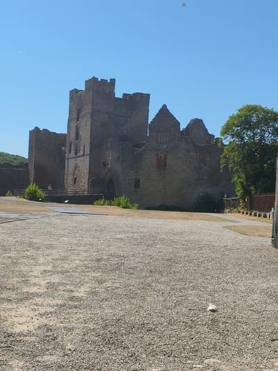 The image shows Ludlow Castle, a historic ruin located in Ludlow, Shropshire, United Kingdom, on a sunny day. The castle's stone walls are visible, with crenelated battlements and multiple towers. The foreground consists of a gravelly courtyard with a pathway leading towards the castle. A wooden fence runs along the edge of the courtyard in front of the castle. Green vegetation and trees are present to the left and right of the castle, with a grassy area in front of the fence. A single person, possibly a tourist, can be seen standing on a walkway in front of the castle. The sky is clear and blue.
