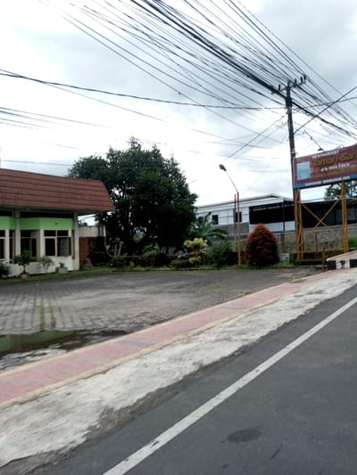 The scene is an outdoor urban or suburban landscape in the city of Taohom, Laos, under an overcast sky. In the foreground, an asphalt road with a solid white line on its right edge runs diagonally. Adjacent to the road is a concrete curb with a reddish-brown top strip. To the left of the curb lies a paved area composed of grey interlocking pavers, with several visible puddles and wet patches.
No people or direct interactions are visible.
On the left side of the midground, a two-story building features a reddish-brown tiled roof and light green walls on its upper level, accented by dark-framed windows. A segment of the building's facade on the lower right appears to be constructed of dark red or brown stone. A small, potted plant is situated near this building. Behind this structure and centrally located in the scene, a large, dense green tree stands prominently. To the right of the paved area, a landscaped section contains various shrubs and small trees, including one with distinctive reddish-brown foliage.
Further to the right, a tall, dark utility pole supports numerous black overhead power or communication lines that extend across the upper portion of the sky. A street light is mounted on a separate grey pole. A large, rectangular sign with a reddish-brown background and white text is displayed on the far right, supported by a yellow metal frame. The sign identifies "RESTAURANT," "Taman Sara," "d/h HOA YUEN," and "CIPANAS SINDANGLAYA." In the background, behind the landscaping and sign structure, a light-colored building with dark-framed windows is partially visible. The sky overhead is uniformly grey and overcast.