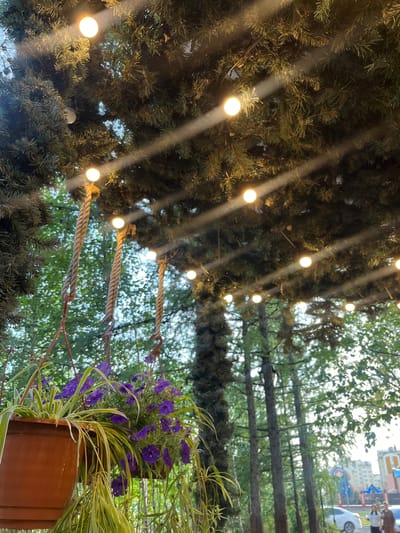 The media file shows a close-up view of artificial evergreen branches adorned with string lights. Sunlight filters through the branches, creating diagonal beams of light. In the background, a blurred outdoor scene is visible, featuring trees and a distant urban landscape with buildings and a white car. Hanging planters with purple flowers and green foliage are also present, suspended by ropes. The overall impression is of an outdoor decoration or festive setup, possibly during daytime given the sunlight. The background elements suggest an urban or semi-urban environment. There is no visible text in the image.