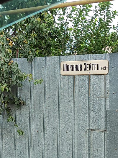 The image shows a close-up of a corrugated metal fence in Boraldai, Kazakhstan. A rectangular white sign with black lettering is attached to the fence. The sign reads "ШОКАНОВ ЗЕЙТЕН К-CI". To the left of the sign, a tree branch with green leaves and several small, green fruits is visible, extending in front of the fence. The background is filled with lush green foliage of trees and some sky peeking through. The fence appears to be outdoors, and the bright lighting suggests it is daytime. The overall scene depicts an outdoor setting, possibly a backyard or a property boundary, with a clear emphasis on the sign and the surrounding natural elements. The weather appears to be clear and sunny.