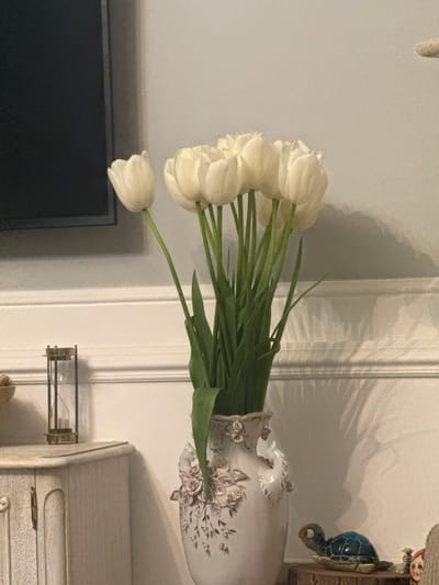 A vase of white tulips sits on a white cabinet in a room with white walls. A television is visible in the lower left of the frame. The vase is decorated with raised floral designs. A small decorative turtle figure is visible on the cabinet, next to the vase. The setting is indoors, but the image does not contain information to ascertain that the location is in Dzoraghbyur, Armenia. No people are visible in the image.