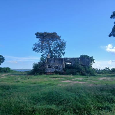 The image displays an outdoor scene in Tanga, Tanzania, featuring the substantial ruins of a multi-story stone or concrete building situated within a natural, unkempt environment. The structure, centrally positioned, exhibits extensive decay with missing roof sections, exposed interior spaces, and deteriorated walls featuring empty window and door apertures. A large, mature deciduous tree grows directly behind and partially through the ruin, its foliage extending above the remaining wall lines. The immediate foreground consists of dense, varied green grass interspersed with areas of exposed brown earth, suggesting informal pathways or erosion. In the distant background, a calm body of water, likely a bay or coastal area, is visible, separated by a thin strip of land or distant shoreline. The sky above is predominantly clear blue with scattered white cumulus clouds. No individuals or active subjects are present in the frame, depicting a static landscape under natural daylight.