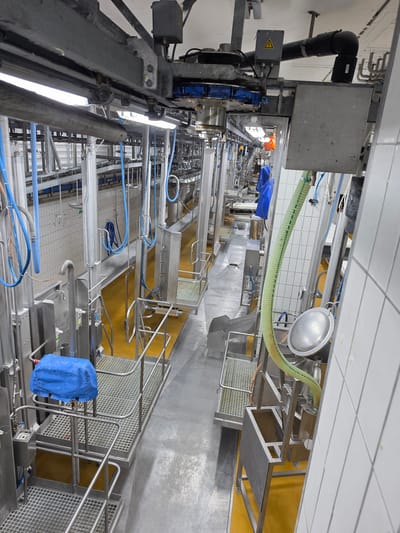 This is a photograph of an industrial setting, likely a food processing or manufacturing plant. The scene is characterized by extensive stainless steel equipment, including pipes, vats, and conveyor systems, suggesting a highly mechanized operation. A prominent feature is a long, green, ribbed hose extending from the upper left of the frame, likely used for transferring liquids or materials. Various blue hoses and tubing are also visible throughout the scene, connected to different parts of the machinery.
The environment appears to be a clean, sterile facility, indicated by the white tiled walls and the polished surfaces of the equipment. The floor is a bright yellow, providing a strong visual contrast. The lighting is bright and even, suggesting artificial illumination rather than natural daylight. There are no people visible in the photograph, lending the scene a sense of automated activity rather than human interaction.
Notable details include a silver bowl-like object suspended near the green hose, possibly a collection or mixing vessel. A blue tarp is draped over a piece of equipment in the lower right of the image. A yellow warning sign with a lightning bolt symbol is visible on a grey electrical box in the upper left.
The overall impression is one of a functional, efficient, and sterile industrial process. The lack of human presence emphasizes the automated nature of the operations. The location context provided is Gossau (SG), Switzerland, which aligns with the appearance of a well-maintained European industrial facility. There is no visible text other than the warning symbol.