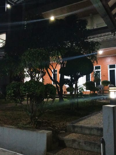 This media file depicts an outdoor scene at night, likely in Cigadung, Indonesia. The primary subjects are a variety of trees and manicured bushes arranged in a garden area. In the background, a building with an orange brick facade and white-framed windows is visible. The building appears to be a house or a commercial establishment.

Illumination comes from artificial lights. One light fixture is mounted on a pole in the foreground on the right side of the image, emitting a bright, diffused light. Other lights are visible on the building and under a roof structure extending over the scene. The overall lighting creates a somewhat dim and atmospheric mood, with light beams and lens flares from the lights adding a stylistic element.

The ground is covered in grass, fallen leaves, and gravel. A pathway or steps made of concrete are present in the foreground. There are no people visible in the image, and no specific activity is taking place; it appears to be a still, nighttime view of the garden and building exterior.

Notable details include the manicured nature of the plants, suggesting a well-maintained garden. The time of day is clearly night due to the artificial lighting and darkness. The presence of the orange brick building and the lush greenery are consistent with a tropical or subtropical location, further supporting the Indonesia context. No visible text is present in the media file. The scene evokes a sense of quietude and perhaps a slightly melancholic or tranquil atmosphere due to the nighttime setting and lighting.