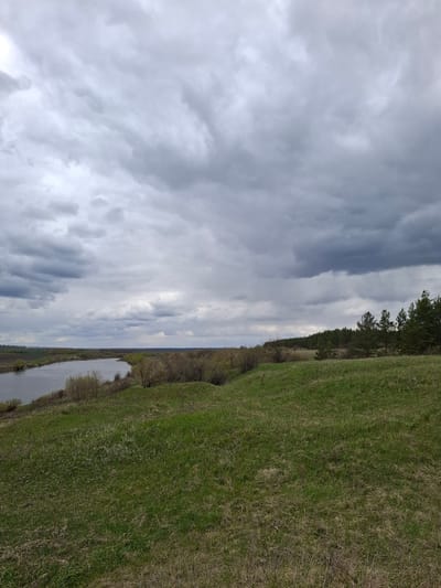The image captures a serene natural landscape under an expansive, overcast sky. The sky, dominating the upper portion of the frame, is filled with thick, grey clouds of varying density, suggesting heavy cloud cover or an approaching weather front. There is no direct sunlight visible.

In the foreground, a calm body of water, likely a river or a large stream, flows horizontally across the lower part of the scene. Its surface dimly reflects the muted light of the cloudy sky. The banks of this waterway are lined with sparse vegetation, including some bushes and trees that appear either bare or just beginning to show early spring foliage.

Beyond the water, a vast expanse of green grass covers the gently rolling terrain, stretching towards the horizon. The grass exhibits natural growth, with differing shades of green and some drier patches. A dense line of trees, including what appear to be conifers, forms a distinct band along the mid-ground, indicating a forested area. Further in the distance, the landscape recedes into a flatter, less defined area, possibly more fields or distant natural terrain.

The scene is entirely natural, with no people, animals, or man-made objects visible. The time of day is daytime, but the heavy cloud cover prevents a more precise determination. The weather is cloudy and likely cool. The setting is a rural or wild area, consistent with the provided location context of Elets-Malanino, Russia. The image evokes a sense of natural tranquility and vastness. No text is visible in the media file.
