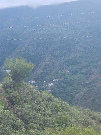 A verdant, mountainous landscape features dense foliage blanketing the slopes. Scattered white dwellings nestle among the trees, suggesting a small village. Several linear structures, likely electrical wires, vertically traverse the scene. A layer of haze partially obscures the distant mountains, lending a muted atmosphere to the vista. The angle of the shot provides a sweeping view down the mountainside.