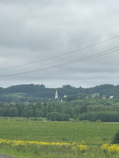 This landscape photograph captures a serene rural scene, likely in Можга, Russia, under an overcast sky. The upper portion of the image is filled with a light gray, cloudy sky, traversed by several parallel power lines extending diagonally from the upper left.
Below the sky, a dense band of green forest forms a natural horizon, stretching horizontally across the middle of the frame, suggesting a distant hill or ridge. Amidst these trees, slightly to the left of center, a white church with a distinctive golden dome and cross is clearly visible. Further to the right along the treeline, another smaller golden cross can be faintly seen, suggesting another religious structure or marker.
The foreground and mid-ground feature a vibrant green field or meadow, occupying the lower right portion of the image. Along the right edge of this field, bright yellow flowers are scattered, adding a splash of color to the verdant landscape.
The weather is cloudy, indicating a muted daytime setting. The scene is devoid of people or explicit activities, focusing instead on the natural environment and the prominent religious architecture. No visible text is present.
