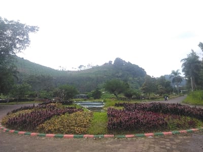 The landscape depicted in this image, characterized by steep, densely vegetated hills, distinct palm trees, and tropical or subtropical flora, does not correspond visually to the temperate climate and typical environment of Kladno, Czechia.
The scene captures an outdoor, likely park or botanical garden, area under an overcast sky. In the foreground, a dark, worn paved surface occupies the bottom third of the frame. This surface abuts a semicircular garden island bordered by a low curb painted with alternating red and green horizontal stripes. The interior of the island features manicured beds of dark red/purple-leafed foliage plants and yellowish-green shrubs, interspersed with patches of grass. Near the center-rear of this island, a small, rectangular, multi-tiered water feature or basin with light blue water is visible.
A paved road or pathway curves around the right side of the garden island and extends into the midground. On this path, a dark-colored two-wheeled vehicle, resembling a scooter or small motorcycle, with a single occupant, is observed moving away from the viewer, positioned to the right of the garden island.
The midground and background are densely covered with lush, green vegetation. Various trees and shrubs of differing heights and species are present, including several prominent palm trees on the mid-right. Behind these, steep hills rise sharply, extensively covered in what appears to be a cultivated plantation, with uniform rows of shrubs or small trees extending high up the slopes. The peaks of some hills are crowned with denser, seemingly untamed forest growth. The upper portion of the image is dominated by a uniformly bright, overcast sky, indicating diffused daylight with no distinct shadows.