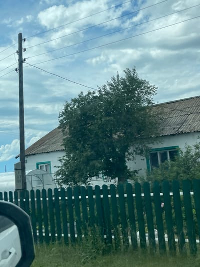 A view from a vehicle, likely in the city of Şalqar, Kazakhstan, captures a rural or suburban scene under a cloudy sky. In the foreground, a dark green wooden fence runs horizontally across the frame, with grass and weeds growing on either side. The top edge of a white car's side mirror is visible in the lower left corner. Behind the fence, a white house with a corrugated roof is partially obscured by a large, leafy green tree. The house has at least two windows with green trim. To the left of the house, a greenhouse-like structure is visible. A tall, dark utility pole with several wires extending from it stands to the left of the house and tree. The sky is filled with a mix of white and gray clouds.