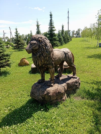 In the city of Il'ich, Russia, a stone sculpture of a lion stands on a large rock formation in a grassy park. The lion is facing left, with its head turned slightly towards the viewer. The sculpture is detailed, showing the lion's mane, muscles, and paws. The rock beneath the lion has the word "ЛЕВ" carved into it, which translates to "LION" in Russian.
The park is well-maintained, with lush green grass and scattered trees, including several tall evergreen trees. In the background, power lines and utility poles are visible, along with a few deciduous trees and a car parked in the distance. The sky is blue with a few white clouds. The overall impression is one of a peaceful, outdoor setting on a sunny day.
