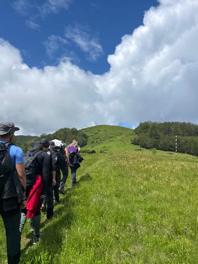 A group of hikers walks up a grassy slope under a blue sky with white clouds. The terrain is uneven, with patches of darker green vegetation and some scattered trees. In the foreground, the hikers are viewed from behind, some carrying backpacks. A yellow and black striped pole stands to the right of the path. The scene is likely in a mountainous or hilly region.