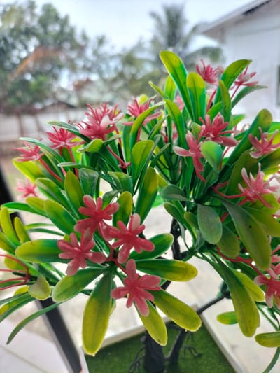 This is a close-up, vertical, eye-level, medium shot photograph of a small artificial plant with pink flowers and green and yellow leaves. The plant is in focus, with a blurred background of trees and buildings, suggesting an outdoor or window setting. The scene is clean and well-lit. The plant appears to be in a white pot with a green artificial lawn base, likely an indoor decorative item. The image does not contain any people, actions, or interactions. The location of Cotgadong, Indonesia, is not visually discernible from the provided image.