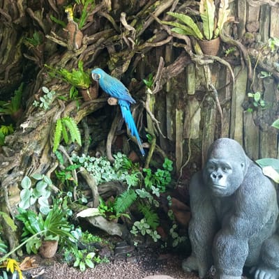 The image depicts a detailed artificial jungle diorama featuring a life-sized statue of a gorilla and a brightly colored blue macaw statue positioned on a branch among lush greenery and gnarled tree roots. The backdrop consists of textured, bark-like material and stone slabs, creating a naturalistic environment. Small potted plants, including ferns and foliage with intricate leaf patterns, are integrated into the scene, some appearing to grow from woven baskets. The diorama is situated in an indoor setting, evidenced by controlled lighting and the artificial nature of the elements. The overall impression is that of a carefully crafted display designed to evoke a jungle atmosphere, likely found in a zoo, theme park, or nature-themed exhibition. While the prompt mentions Bandar Baru, Indonesia, there is no visual information within the image that can confirm this specific location.