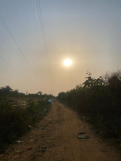 A dirt path stretches forward under a hazy sun. Thick vegetation lines both sides of the path, with power lines extending across the sky. Some litter is present on the ground beside the path. A utility tower is faintly visible in the distance. The overall atmosphere is hazy and muted.
