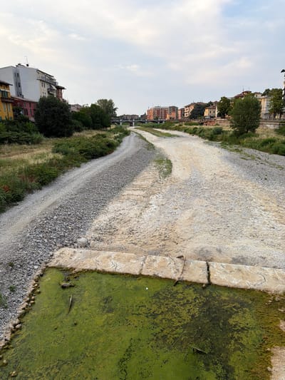 The image shows a dry riverbed in Parma, Italy. The riverbed is covered in gravel and sand, with some green algae growing in a small pool of stagnant water in the foreground. In the background, there are buildings and bridges visible. The sky is cloudy. The scene appears to be calm and quiet, with no people or animals present. The overall impression is one of a dry, almost deserted landscape.