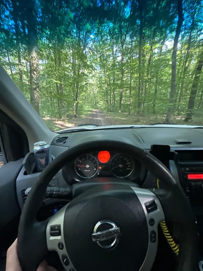 The image shows the interior of a Nissan vehicle from the driver's perspective, driving on a dirt road through a forest. The dashboard is visible, with the steering wheel in the foreground. To the left of the steering wheel is a cup holder containing a can of what appears to be a beverage. The windshield displays a view of a dense forest with tall trees and sunlight filtering through the leaves. The road ahead is narrow and unpaved, suggesting an off-road or rural location. The dashboard indicates the vehicle is in operation, with illuminated gauges. The time of day appears to be daylight, given the lighting conditions. The specific location in Verbka, Ukraine, cannot be determined from the visual information alone.
