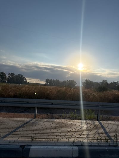 This is a photograph taken at eye level, looking out over a landscape bathed in the warm light of a setting sun. The sun itself is a bright, circular orb positioned high in the sky, partially obscured by a band of soft, grey clouds. A distinct light flare streaks vertically down from the sun, bisecting the image.
In the foreground, a paved walkway made of grey interlocking bricks is visible, casting long shadows from the right. A concrete curb with a white stripe separates the walkway from the ground beyond. A metallic guardrail runs horizontally across the middle ground, separating the walkway from a field.
The field behind the guardrail is covered in dry, golden-brown vegetation, appearing to be tall grasses or reeds. Scattered throughout the field are darker green trees, forming a dense line across the horizon. In the distance, the land appears to gently slope upwards, meeting a hazy blue sky.
The image evokes a sense of tranquility and the end of a day. The specific location in Katzrin, Israel, implies a rural or semi-rural setting, possibly near a road given the presence of the guardrail and walkway. There are no people or animals visible in the frame. The overall impression is one of natural beauty enhanced by the atmospheric conditions of sunset.