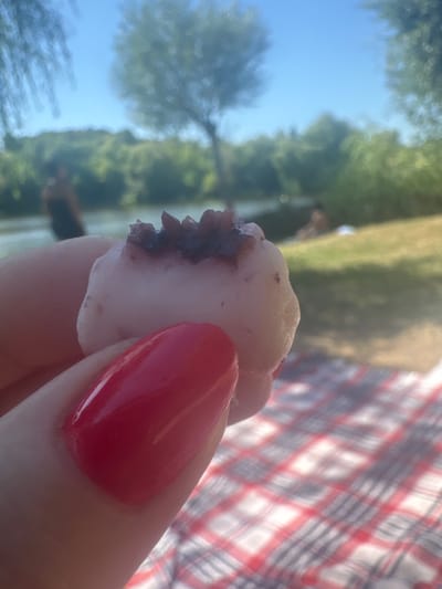 A close-up shot focuses on a hand holding a round, pale pink mochi with a dark red topping, likely red bean paste. The hand has a bright red nail polish. In the blurred background, a checkered picnic blanket is visible on the grass. Beyond the blanket, a body of water can be seen, with trees and a bright blue sky on the horizon. Two indistinct figures are visible near the water in the background, suggesting a park or recreational area. The scene appears to be a picnic in Fursy, Ukraine, on a sunny day.