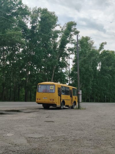A yellow school bus is parked in a gravel lot in front of a dense line of trees. The bus is positioned facing away from the viewer, with its rear end visible. The text "ДЕТИ" (children) is written in red on the back window of the bus, along with a symbol of two running figures. A license plate with the characters "с 455кх 19" is also visible. A wooden utility pole stands to the right of the bus. The scene appears to be a rural area, possibly in Raikov, Russia, given the context. The trees are tall and green, suggesting a summer or late spring setting. The sky is overcast with gray clouds, indicating a cloudy day. The ground is a rough mix of gravel and dirt, with some puddles of water visible in the foreground, suggesting recent rain. No people are visible in the image. The overall mood is quiet and still.