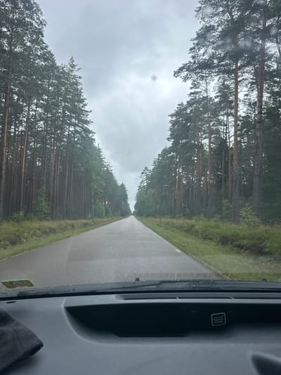 The media file depicts a view from inside a vehicle, looking out at a road bordered by a dense pine forest. The image is oriented vertically. The road appears to be paved and wet, suggesting recent or ongoing rain. The sky is overcast and grey, reinforcing the impression of inclement weather. The tall, slender pine trees create a tunnel-like effect along the sides of the road, with their dark green needles contrasting with the muted tones of the sky and road.

On the right side of the frame, a portion of the vehicle's interior is visible, including a dark grey panel with a small, square sticker that has faint text and a symbol within it. The sticker is a common warning label, possibly related to vehicle operation or safety. The overall mood is somewhat somber and tranquil, fitting for a rainy day drive through a forest. The time of day is not explicitly indicated but the diffused light suggests it could be daytime. The location context is Karwica, Poland. No people are visible in the image. The activity is simply traveling by vehicle through a natural landscape.