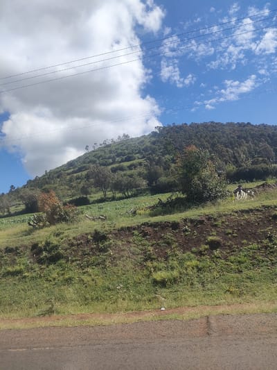 The image depicts a rural landscape in Kibirichia ward, Kenya, under a sky with scattered white clouds and blue patches. The primary feature is a hillside covered in lush vegetation, a mix of trees, shrubs, and grasses. Cultivated plots or fields are visible on the lower slopes of the hillside. An overhead power line stretches across the upper portion of the image. At the bottom of the frame, a section of a paved road is visible, grounding the scene. No people are directly visible in the image. There is no interaction that can be deduced from the image. The subject is nature and vegetation. The objects are trees, grasses, a field, the power lines, and the road.
