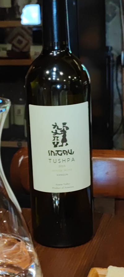 A dark green glass bottle of Tushpa white wine, vintage 2023, is positioned on a dark wooden surface. The label is white with a stylized black illustration of figures, and the text "TUSHPA", "2023", "White Wine", "KANGUN", "Ararat Valley", and "Product of Armenia". A clear glass decanter or carafe is visible to the left of the bottle, partially filled with a light-colored liquid. The background consists of shelves with decorative items and other bottles, and a brown wooden chair or table is partially visible on the right. The scene appears to be indoors, possibly in a restaurant or winery tasting room, and no people are present.