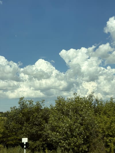 This media file captures a vibrant, vertical view of a sky filled with dramatic cumulus clouds on a bright day, likely during the afternoon given the sun's intensity. To the right, dense green foliage of trees and shrubs forms a thick border, suggesting a natural or semi-rural setting. The sky is a brilliant blue, contrasting sharply with the voluminous white clouds that dominate the left half of the frame. Some of these clouds are large and towering, hinting at potentially fair-weather cumulus formations.

A small, white sign with black and white horizontal stripes is visible on a pole in the right-hand portion of the image, partially obscured by the greenery. The sign itself appears to have some text or symbols on it, though it is too blurry to be legible. The image composition, with the sky and clouds on the left and the trees on the right, creates a dynamic visual. There are no people or obvious man-made structures besides the sign and a thin wire extending across the frame. The overall impression is one of a serene natural landscape under a dynamic sky.