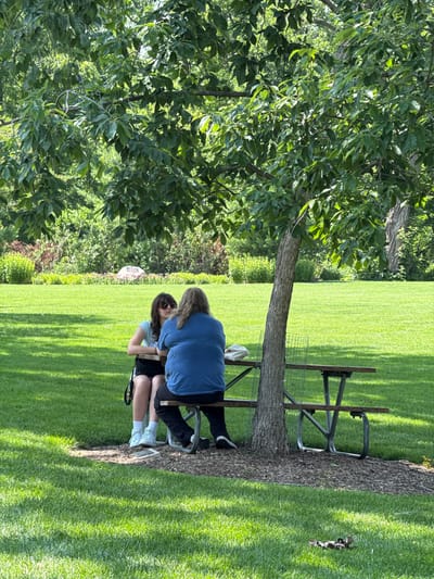 Two individuals are seated at a picnic table under a large tree in a park. The person on the left is a young female with brown hair, sunglasses, and a light blue top with black shorts and white sneakers. The person on the right is an adult with long, blonde hair, wearing a blue t-shirt and black pants. They are facing each other, suggesting an interaction. The picnic table is made of wood and metal. The environment is a well-maintained park with a bright green lawn and trees in the background. There is a rock with writing on it in the middle ground of the park. The scene is brightly lit by sunlight, creating shadows on the grass. The image does not provide specific information about the city of Naperville, United States of America.
