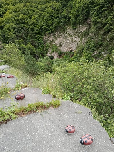 The image depicts an outdoor scene with a rocky cliff face covered in lush green vegetation. In the foreground, a cracked asphalt surface is visible, with several small, round objects painted to resemble ladybugs scattered across it. Some of these ladybug-painted objects are closer to the viewer, while others are further away. The surrounding environment is characterized by abundant plant life, including tall grasses and leafy bushes, with a dense forest covering the slopes of the cliff. The overall impression is of a natural landscape with a touch of whimsical decoration. The location is identified as Dzivgis, Russia.