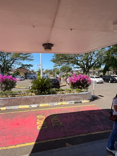 This is a street-level, eye-level, outdoor, daytime photograph taken in Desa Tambakreja, Indonesia. The foreground is dominated by a red-painted area on the asphalt, with yellow lines marking its edges. Faint yellow lettering, possibly "DROP ZONE", is visible on the red surface. A dark shadow, likely cast by a structure or large object, covers a significant portion of the red area.
In the midground, a white concrete barrier with peeling paint and some graffiti separates the red zone from a landscaped area. This landscaped area features a central palm-like plant and vibrant pink flowering bushes on either side. Beyond this, a road or parking area is visible with several vehicles, including a white SUV, a black SUV, and what appears to be a hearse or long black van. People are seen walking around in this area.
The background shows more trees, buildings, and a clear blue sky. A white flagpole with a red and white flag is prominent. The overall scene suggests a public space, possibly near an entrance or drop-off point for a facility in the town. The lighting indicates a bright, sunny day.