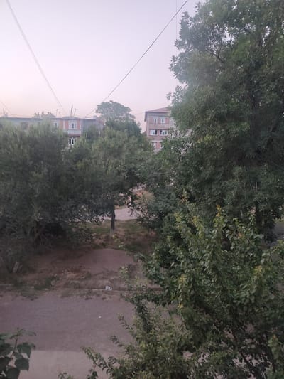 The image shows a view of apartment buildings and trees in Almalyk, Uzbekistan. The buildings appear to be multi-story residential structures with visible windows. Mature trees with dense foliage dominate the foreground and parts of the mid-ground, partially obscuring the buildings. Power lines are visible stretching across the sky. The ground in front of the buildings is a dirt or gravel surface, with some sparse vegetation. The sky is overcast and hazy, suggesting either early morning, late evening, or possibly smog. There are no people or discernible activities visible in the image.