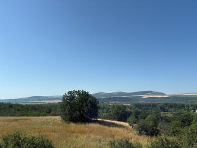 The image depicts a clear, bright, sunny day with a vast expanse of a pale blue sky dominating the upper portion. The lower half of the image reveals a rural landscape viewed from a slightly elevated perspective. In the foreground, dry, golden-brown grass covers a gently sloping field. A large, dark green, leafy tree stands prominently in the middle ground, casting a shadow across the grass. Behind this tree, a dense forest of various shades of green trees stretches across the middle distance. Beyond the forest, rolling hills and mountains form the background, with some areas appearing cultivated with lighter colored fields. A scattering of buildings, possibly a village, is visible nestled amongst the trees and in the valleys of the hills. The overall impression is one of a serene, natural countryside scene under a cloudless sky, likely taken in the vicinity of Marchevo, Bulgaria, given the provided context. There are no people or animals visible in the image.
