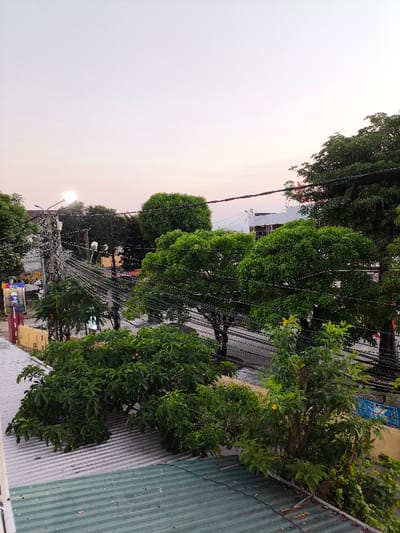 This image captures an elevated view of an urban streetscape in Thành phố Quảng Ngãi, Vietnam, likely during dawn or dusk. The sky is light, transitioning from white overhead to a soft pinkish-orange hue on the horizon to the left, where a bright light source, possibly the sun or a streetlamp, creates a glare.
In the immediate foreground, the top surface of a corrugated metal roof, painted light green, slopes downwards from left to right, partially obscured by dense green foliage. A variety of trees and bushes with vibrant green leaves are present on and directly behind this roof.
The midground features a paved street running horizontally across the frame. This street is bordered by numerous mature trees with full, green canopies, creating a lush corridor. A complex network of black utility cables crisscrosses horizontally and vertically above the street and through the tree branches, connected to several utility poles. One prominent utility pole, heavily laden with bundles of cables, is visible on the left side of the street.
In the background, beyond the street and trees, several buildings are visible. On the far left, a building edge features a colorful vertical advertisement poster. Towards the center-right, a multi-story, light-colored building, possibly under construction or renovation, with exposed structural elements, is partially visible through the foliage and cables. No individuals or vehicles are discernibly present in the scene. The overall lighting is soft and diffused, characteristic of twilight hours.