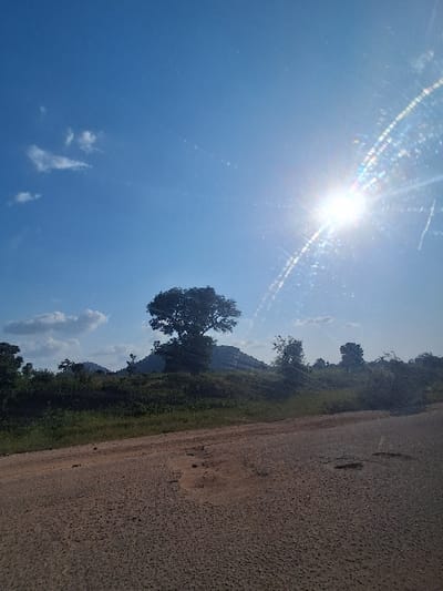 A bright, static landscape scene is depicted under a clear blue sky in Barikin Sibre, Nigeria. The foreground is dominated by a dry, unpaved road exhibiting a cracked texture and several depressions or potholes. Beyond the road, a verdant slope rises, populated with green grass and scattered low-lying bushes. A prominent, large, deciduous tree with a full, dark canopy stands centrally on this slope, partially silhouetted against the sky. In the midground, additional smaller trees and dense foliage are visible. The background features several distinct hills or low mountains under a vibrant blue sky, which contains sparse white cumulus clouds, primarily in the upper left quadrant. The sun, positioned in the upper right, emits a strong glare and prominent lens flares that arc across the sky. The scene is devoid of human figures, animals, or discernible activities.